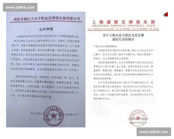 U21 群殴罚单未落，江西 10 球员联名讨薪撕开 NBL 生存困境