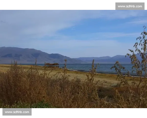 背起百岁奶奶看球赛：116 岁库尔班罕的足球圆梦之旅